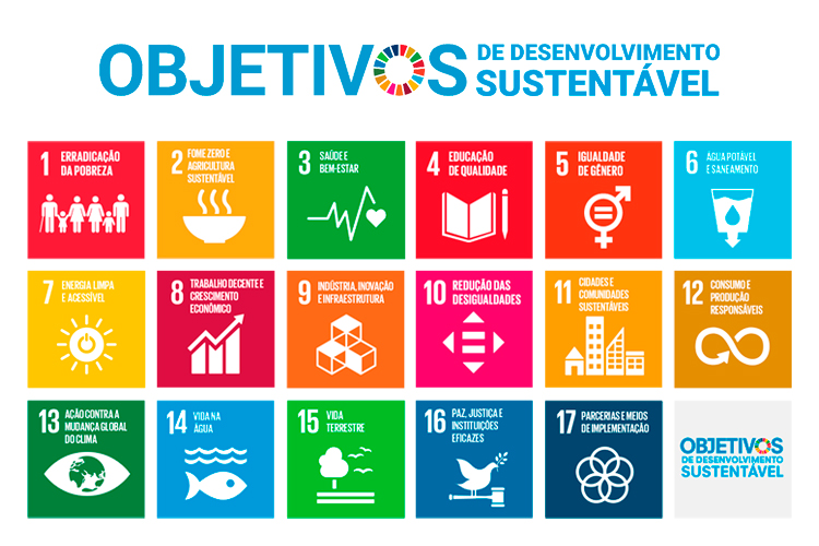 Em Relação à Agenda 21 Leia As Assertivas A Seguir